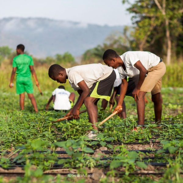 farm_edu farm_edu